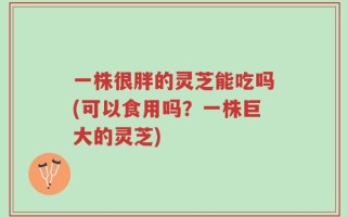 一株很胖的灵芝能吃吗(可以食用吗？一株巨大的灵芝)