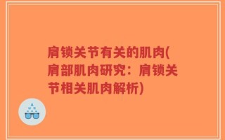 肩锁关节有关的肌肉(肩部肌肉研究：肩锁关节相关肌肉解析)