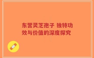东营灵芝孢子 独特功效与价值的深度探究