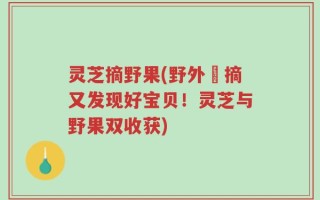 灵芝摘野果(野外採摘又发现好宝贝！灵芝与野果双收获)