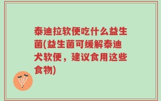泰迪拉软便吃什么益生菌(益生菌可缓解泰迪犬软便，建议食用这些食物)