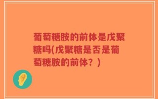 葡萄糖胺的前体是戊聚糖吗(戊聚糖是否是葡萄糖胺的前体？)