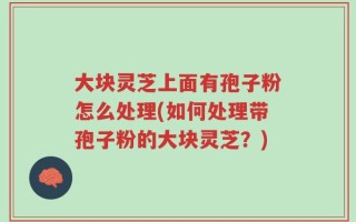 大块灵芝上面有孢子粉怎么处理(如何处理带孢子粉的大块灵芝？)
