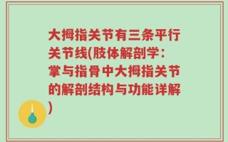大拇指关节有三条平行关节线(肢体解剖学：掌与指骨中大拇指关节的解剖结构与功能详解)