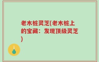 老木桩灵芝(老木桩上的宝藏：发现顶级灵芝)