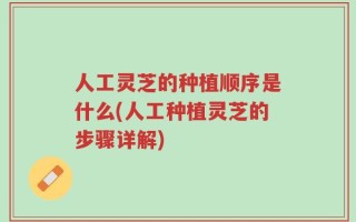 人工灵芝的种植顺序是什么(人工种植灵芝的步骤详解)