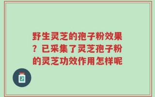 野生灵芝的孢子粉效果？已采集了灵芝孢子粉的灵芝功效作用怎样呢