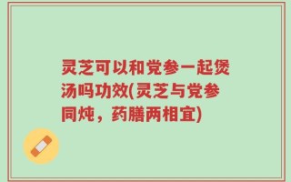 灵芝可以和党参一起煲汤吗功效(灵芝与党参同炖，药膳两相宜)