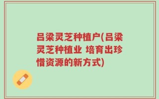 吕梁灵芝种植户(吕梁灵芝种植业 培育出珍惜资源的新方式)