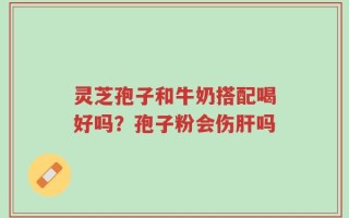 灵芝孢子和牛奶搭配喝好吗？孢子粉会伤肝吗