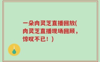 一朵肉灵芝直播回放(肉灵芝直播现场回顾，惊叹不已！)