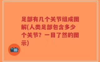 足部有几个关节组成图解(人类足部包含多少个关节？一目了然的图示)