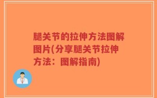 腿关节的拉伸方法图解图片(分享腿关节拉伸方法：图解指南)
