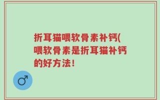 折耳猫喂软骨素补钙(喂软骨素是折耳猫补钙的好方法！