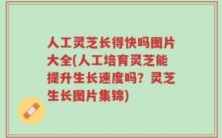 人工灵芝长得快吗图片大全(人工培育灵芝能提升生长速度吗？灵芝生长图片集锦)