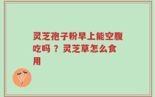 灵芝孢子粉早上能空腹吃吗 ？灵芝草怎么食用
