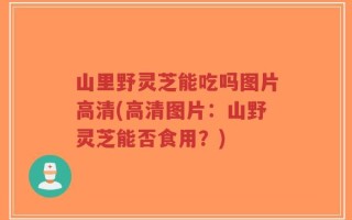 山里野灵芝能吃吗图片高清(高清图片：山野灵芝能否食用？)