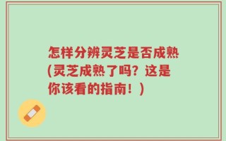 怎样分辨灵芝是否成熟(灵芝成熟了吗？这是你该看的指南！)