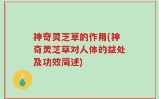 神奇灵芝草的作用(神奇灵芝草对人体的益处及功效简述)