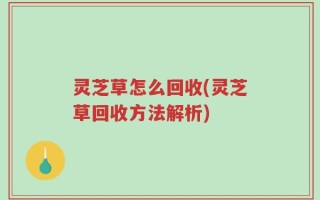 灵芝草怎么回收(灵芝草回收方法解析)