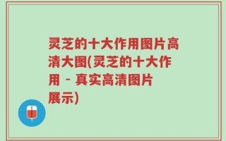 灵芝的十大作用图片高清大图(灵芝的十大作用 - 真实高清图片展示)