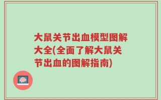 大鼠关节出血模型图解大全(全面了解大鼠关节出血的图解指南)