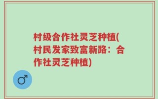 村级合作社灵芝种植(村民发家致富新路：合作社灵芝种植)