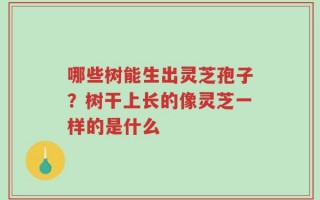 哪些树能生出灵芝孢子？树干上长的像灵芝一样的是什么