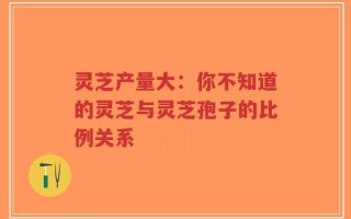 灵芝产量大：你不知道的灵芝与灵芝孢子的比例关系