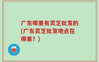 广东哪里有灵芝批发的(广东灵芝批发地点在哪里？)