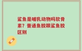 鲨鱼是哺乳动物吗软骨素？普通鱼胶跟鲨鱼胶区别