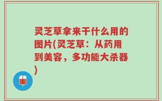 灵芝草拿来干什么用的图片(灵芝草：从药用到美容，多功能大杀器)