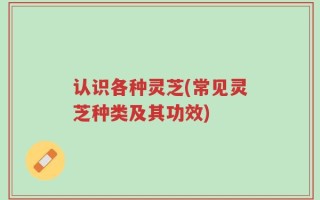 认识各种灵芝(常见灵芝种类及其功效)