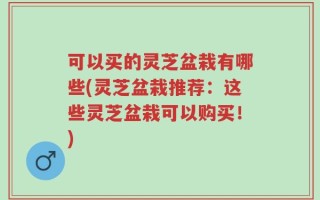 可以买的灵芝盆栽有哪些(灵芝盆栽推荐：这些灵芝盆栽可以购买！)