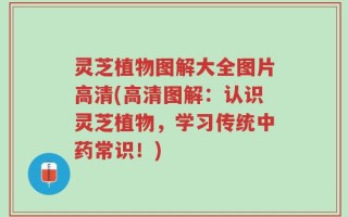 灵芝植物图解大全图片高清(高清图解：认识灵芝植物，学习传统中药常识！)