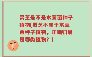灵芝是不是木茸菌种子植物(灵芝不属于木茸菌种子植物，正确归属是哪类植物？)