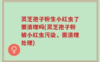 灵芝孢子粉生小红虫了要清理吗(灵芝孢子粉被小红虫污染，需清理处理)