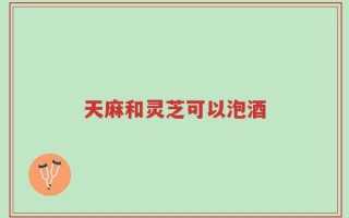 天麻和灵芝可以泡酒