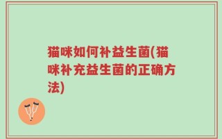猫咪如何补益生菌(猫咪补充益生菌的正确方法)