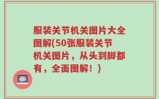 服装关节机关图片大全图解(50张服装关节机关图片，从头到脚都有，全面图解！)
