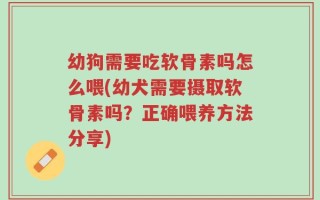 幼狗需要吃软骨素吗怎么喂(幼犬需要摄取软骨素吗？正确喂养方法分享)