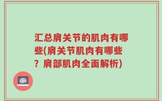 汇总肩关节的肌肉有哪些(肩关节肌肉有哪些？肩部肌肉全面解析)