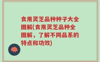 食用灵芝品种种子大全图解(食用灵芝品种全图解，了解不同品系的特点和功效)