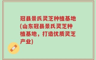冠县景氏灵芝种植基地(山东冠县景氏灵芝种植基地，打造优质灵芝产业)