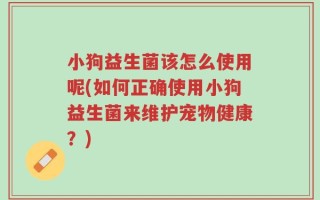 小狗益生菌该怎么使用呢(如何正确使用小狗益生菌来维护宠物健康？)