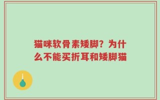 猫咪软骨素矮脚？为什么不能买折耳和矮脚猫