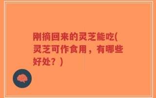 刚摘回来的灵芝能吃(灵芝可作食用，有哪些好处？)