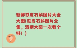 新鲜铁皮石斛图片大全大图(铁皮石斛图片全集，清晰大图一次看个够！)