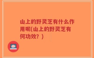山上的野灵芝有什么作用呢(山上的野灵芝有何功效？)