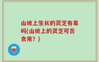 山坡上生长的灵芝有毒吗(山坡上的灵芝可否食用？)